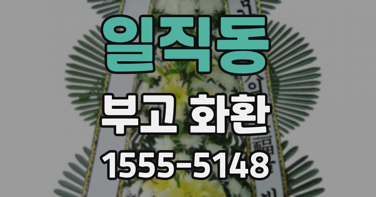 일직동 부고 화환