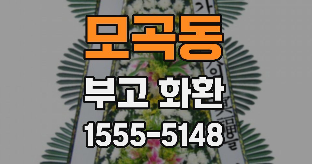 모곡동 부고 화환