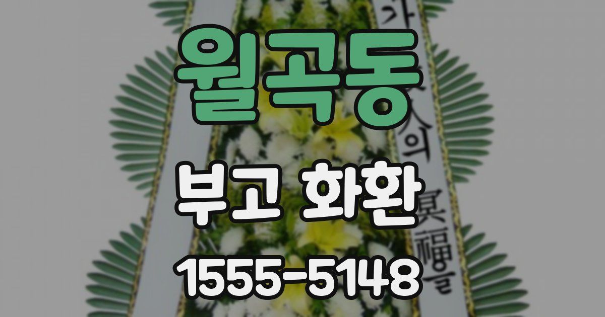 월곡동 부고 화환