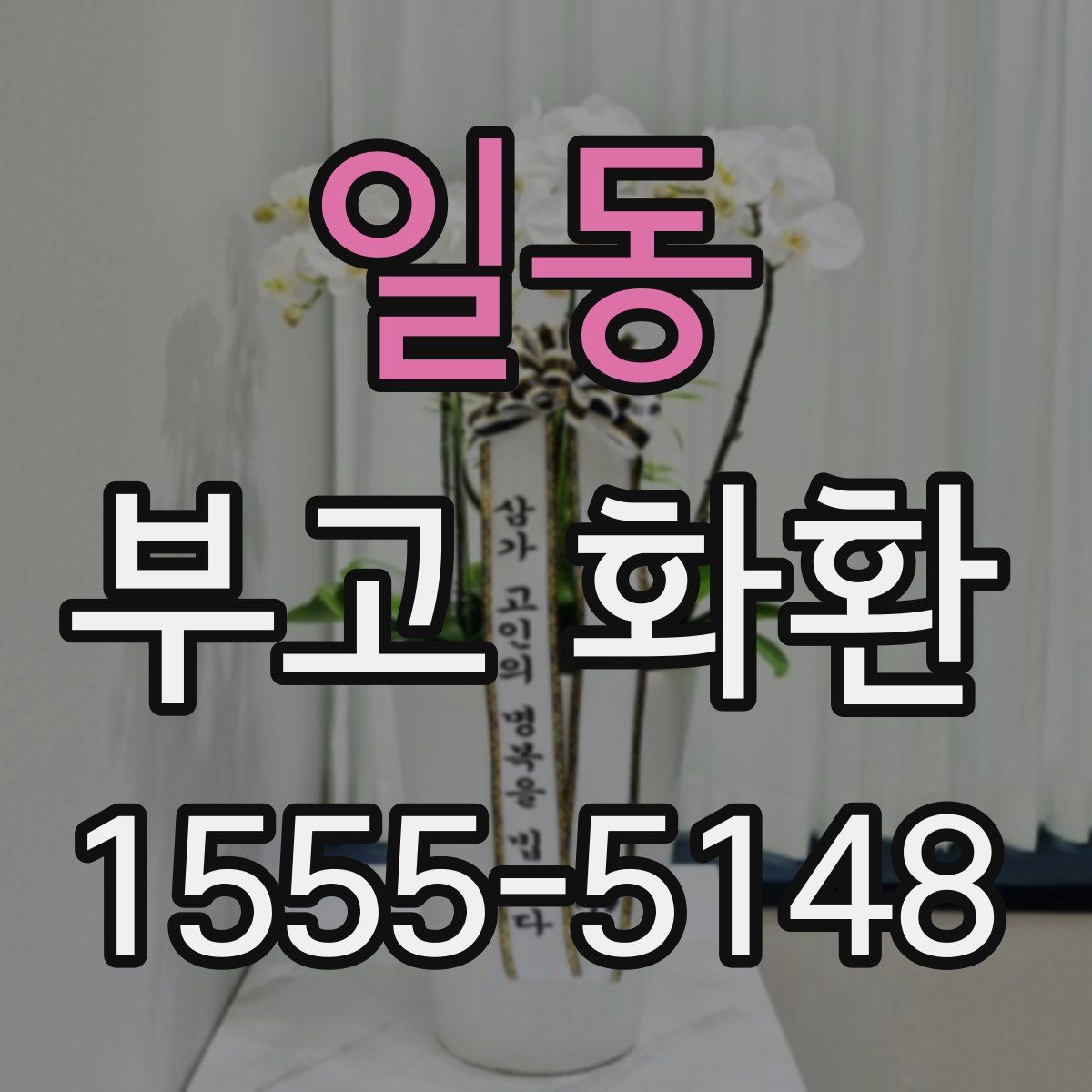 일동 부고 화환