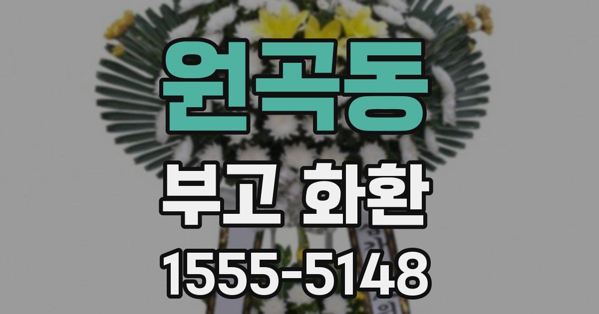 원곡동 부고 화환