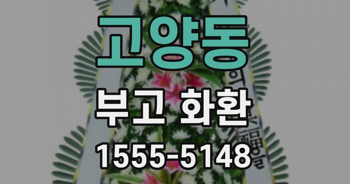 고양동 부고 화환