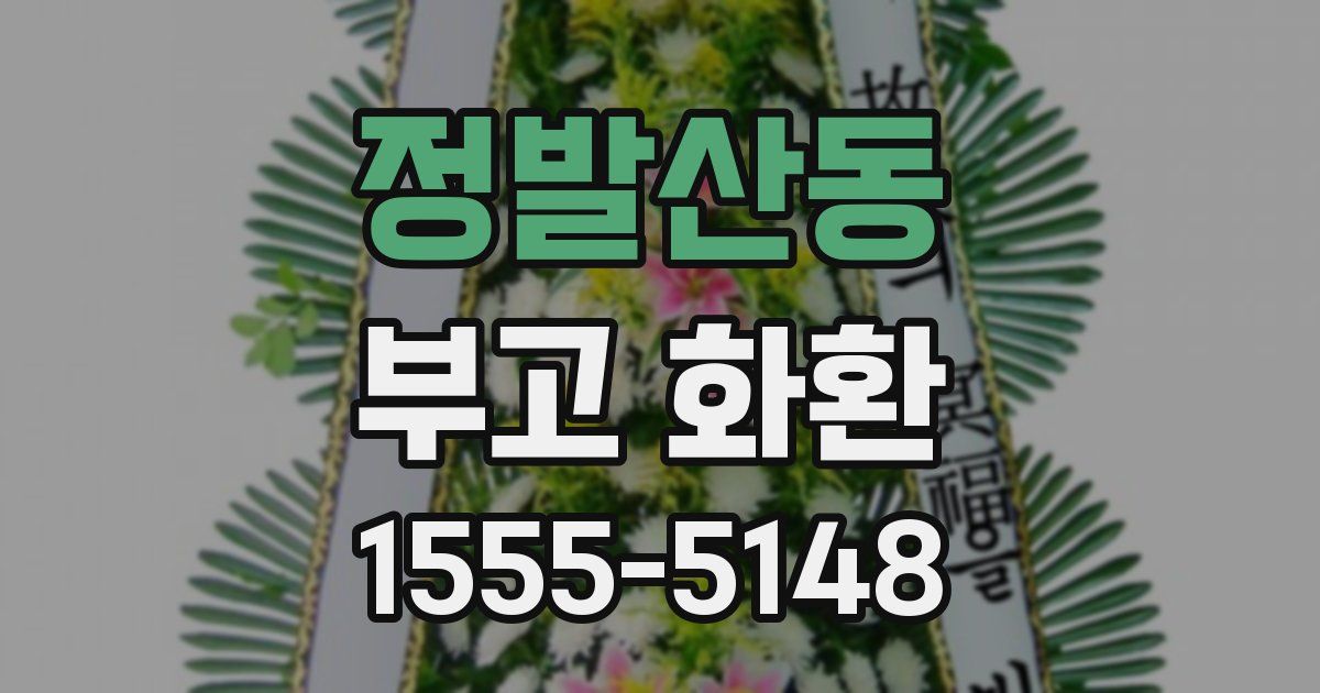 정발산동 부고 화환