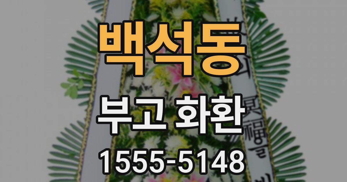 백석동 부고 화환