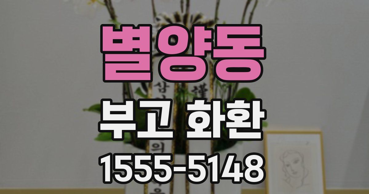 별양동 부고 화환