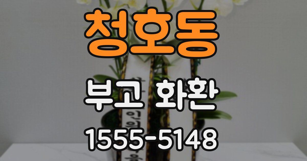 청호동 부고 화환