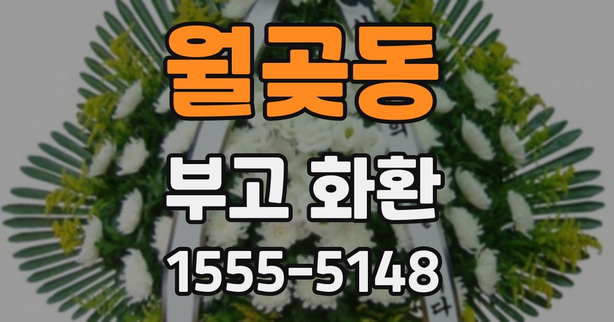 월곶동 부고 화환