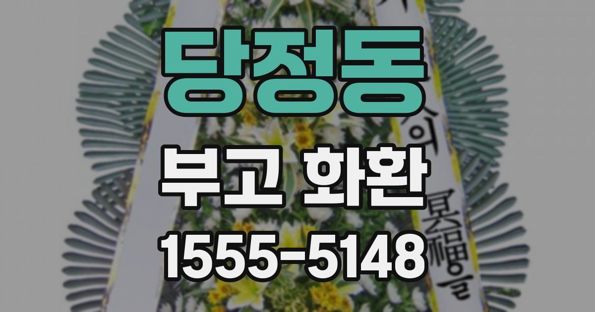 당정동 부고 화환