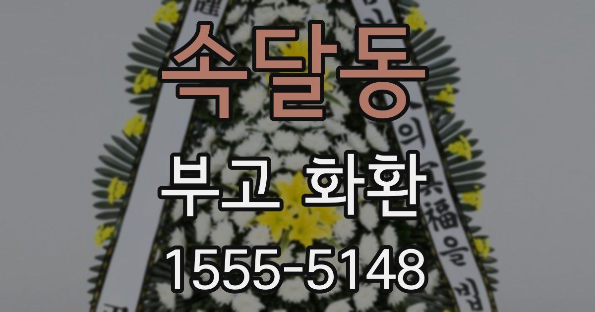 속달동 부고 화환