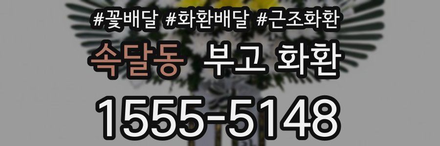 속달동 부고 화환
