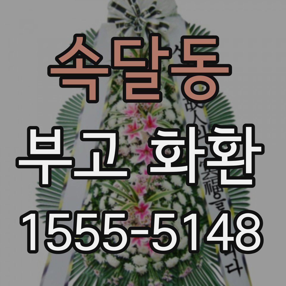 속달동 부고 화환