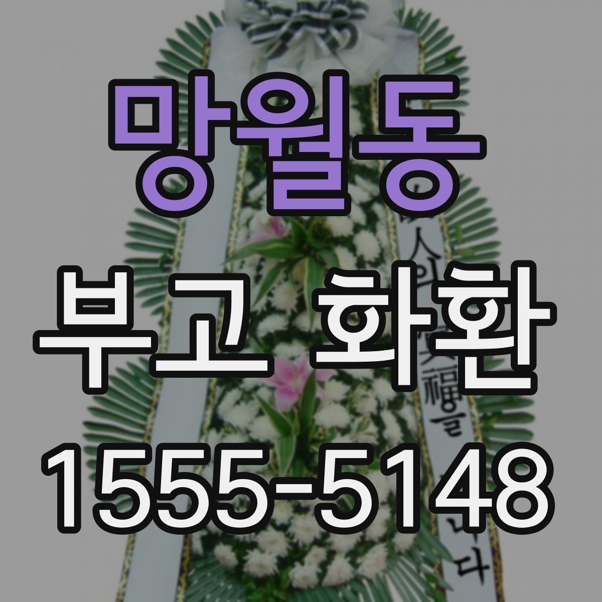 망월동 부고 화환