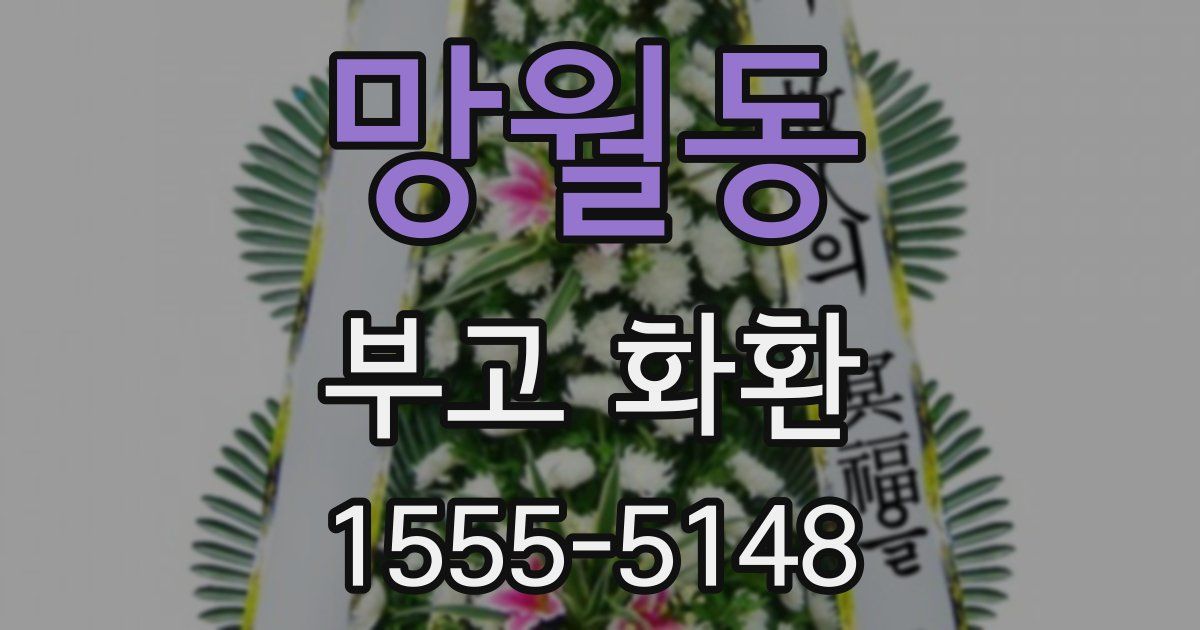 망월동 부고 화환