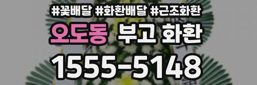 오도동 부고 화환