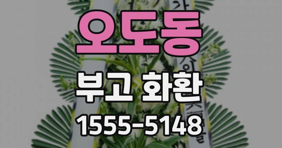 오도동 부고 화환