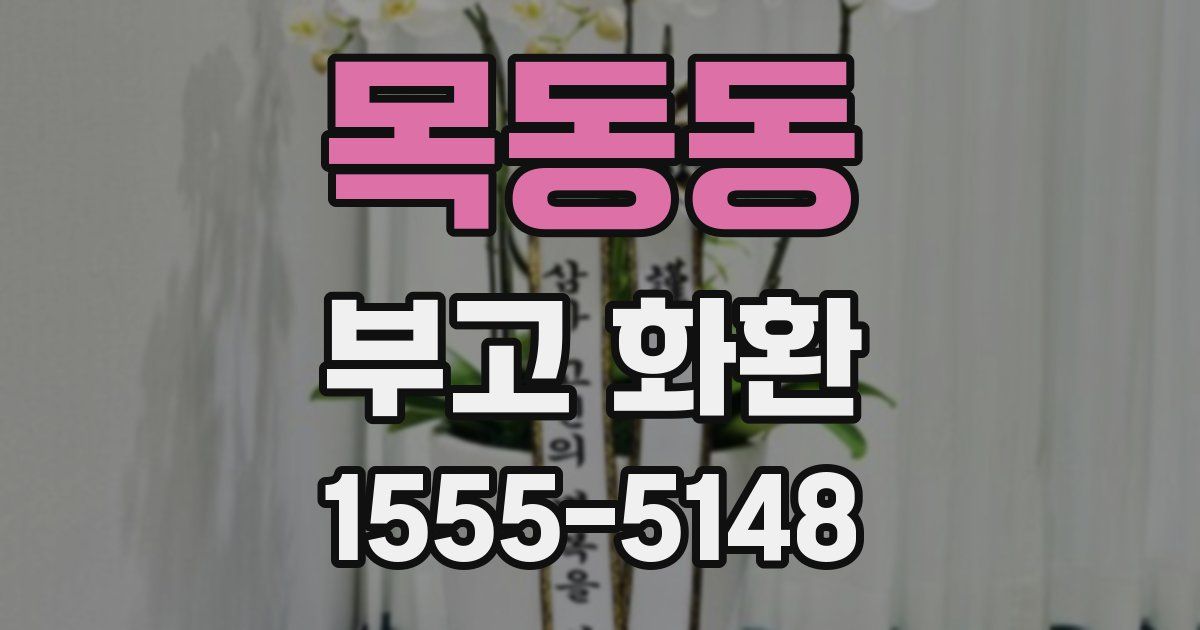 목동동 부고 화환