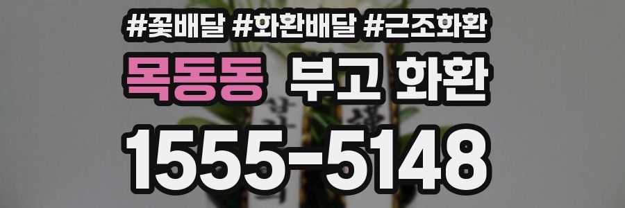목동동 부고 화환
