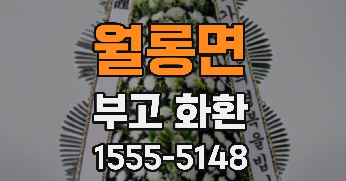 월롱면 부고 화환