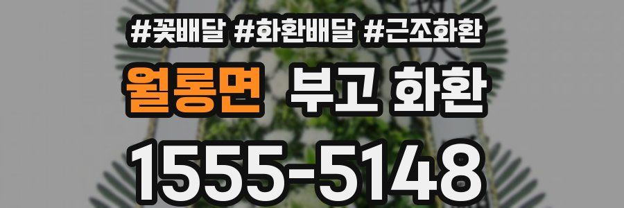 월롱면 부고 화환