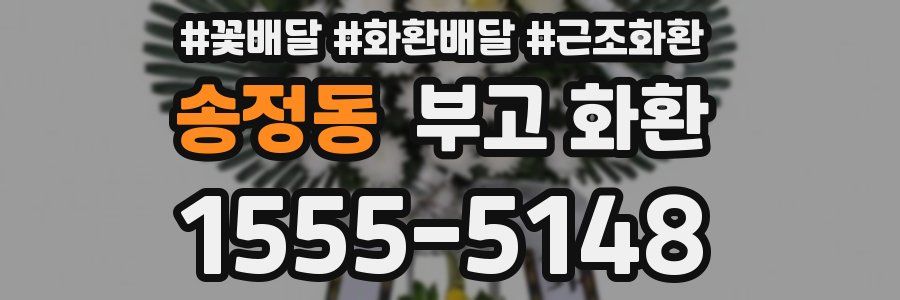 송정동 부고 화환