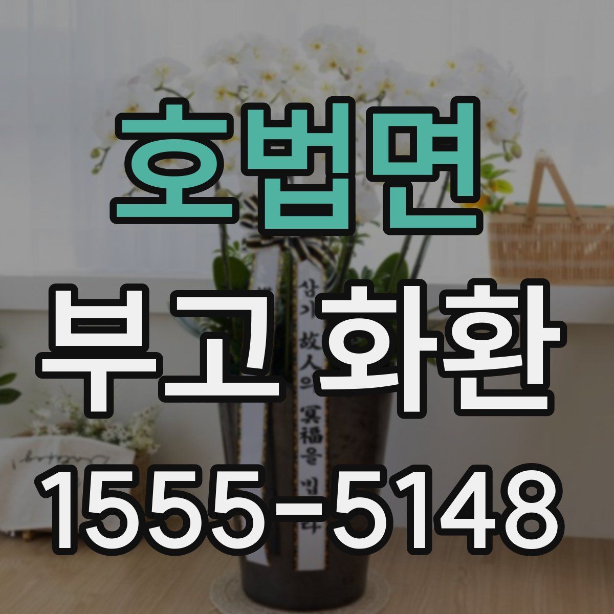 호법면 부고 화환