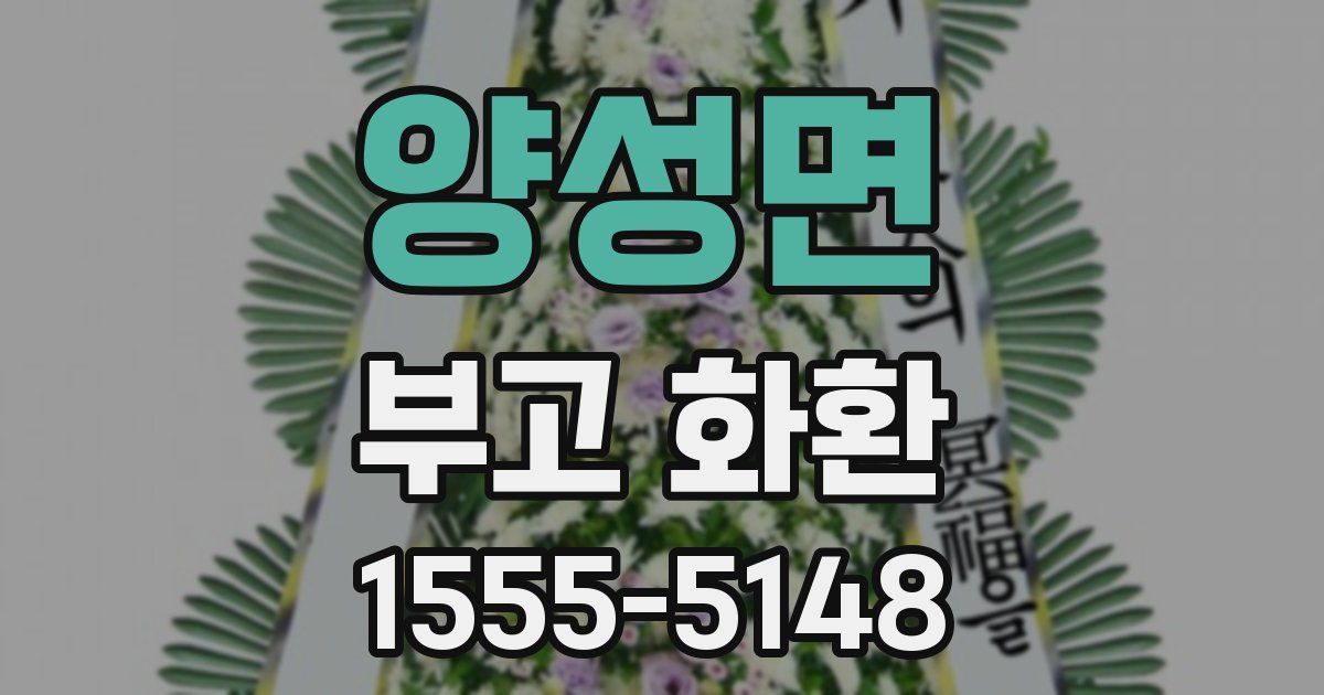양성면 부고 화환