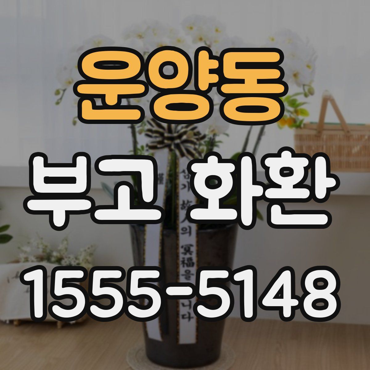운양동 부고 화환