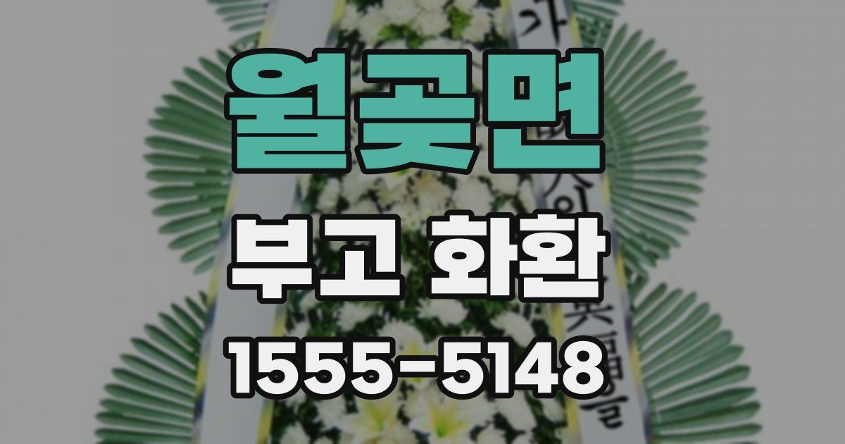 월곶면 부고 화환