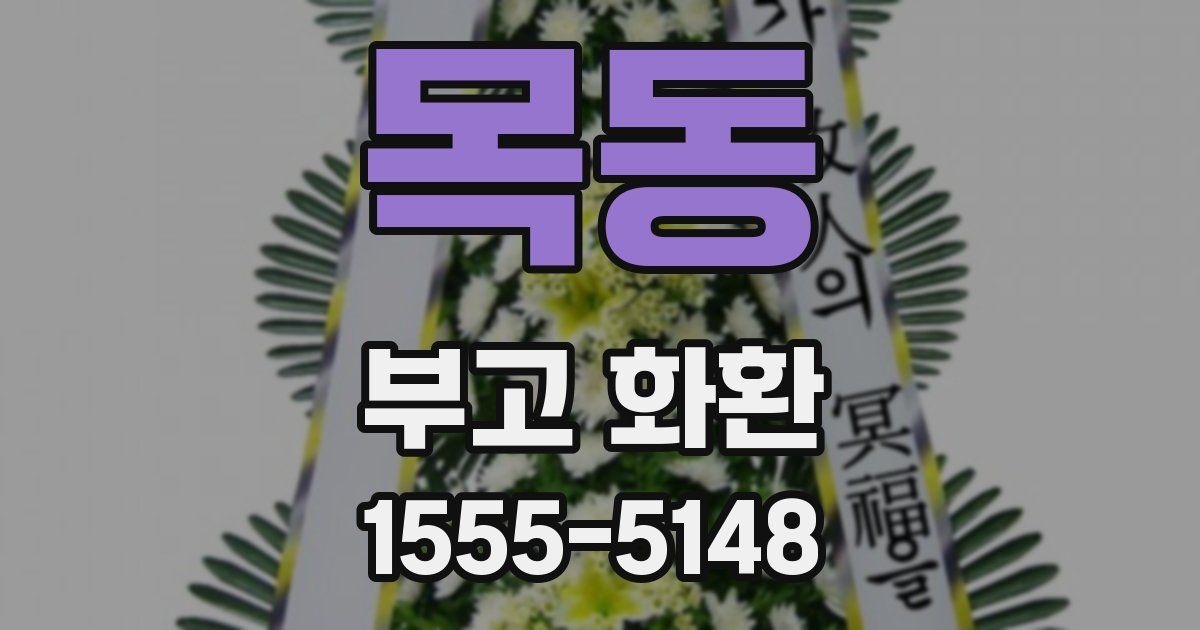 목동 부고 화환