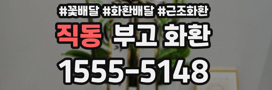 직동 부고 화환
