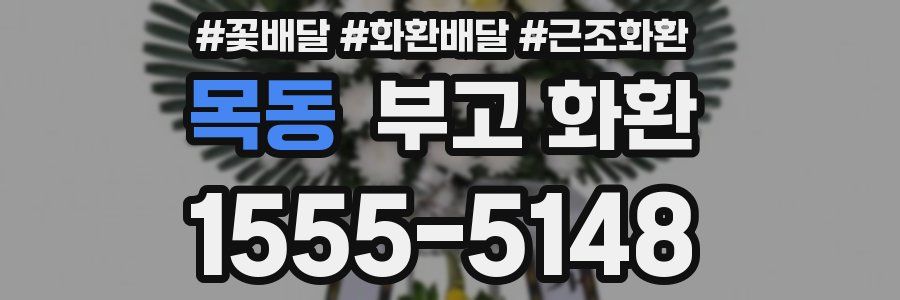 목동 부고 화환