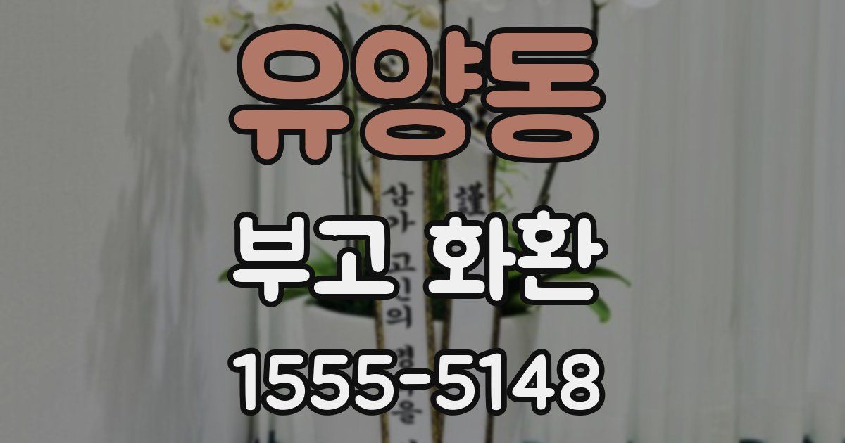 유양동 부고 화환