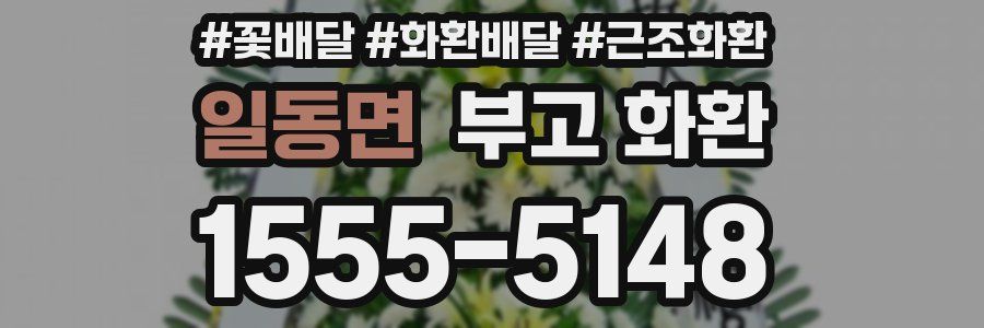 일동면 부고 화환