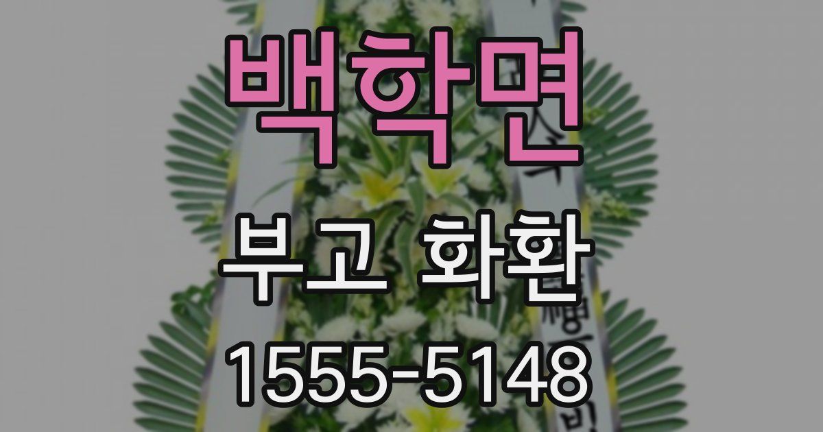 백학면 부고 화환