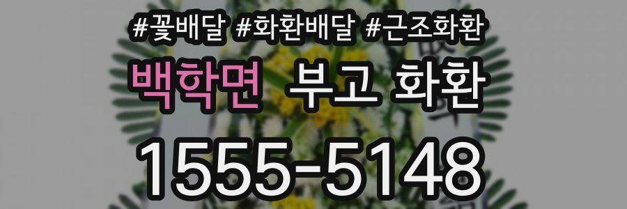 백학면 부고 화환