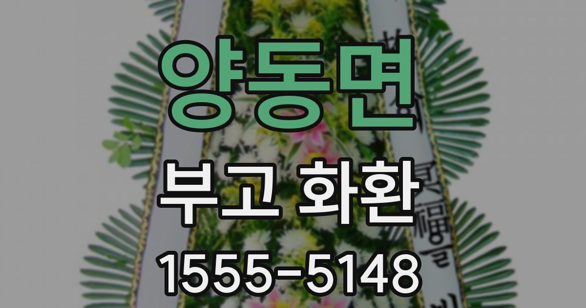 양동면 부고 화환