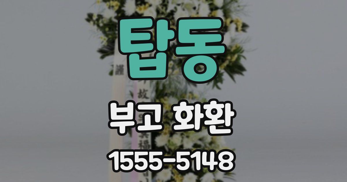 탑동 부고 화환