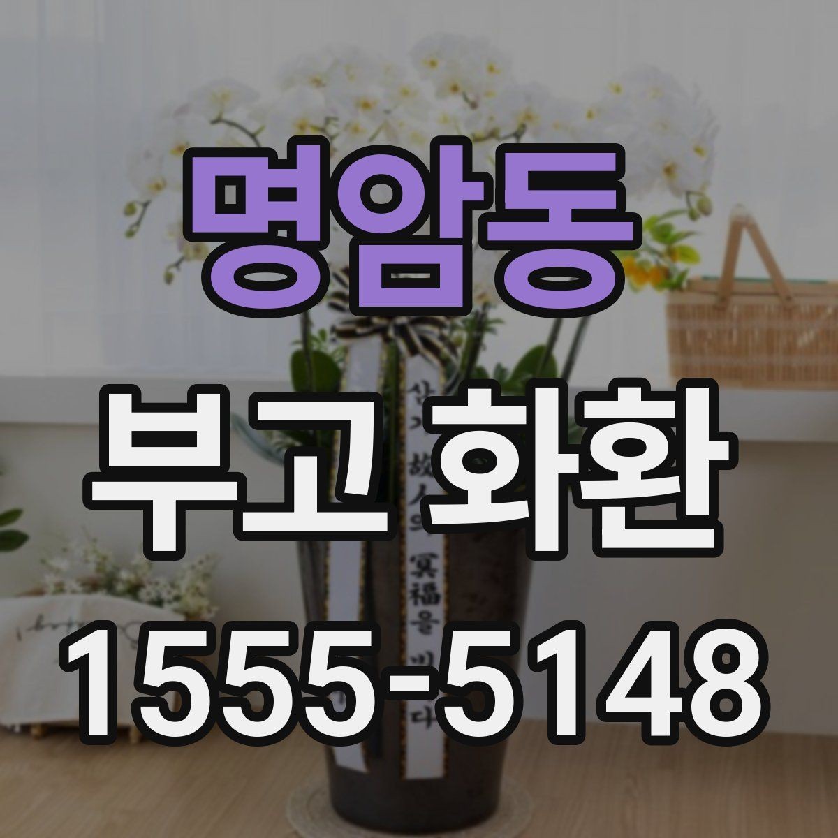 명암동 부고 화환 화분형과 일반형 차이