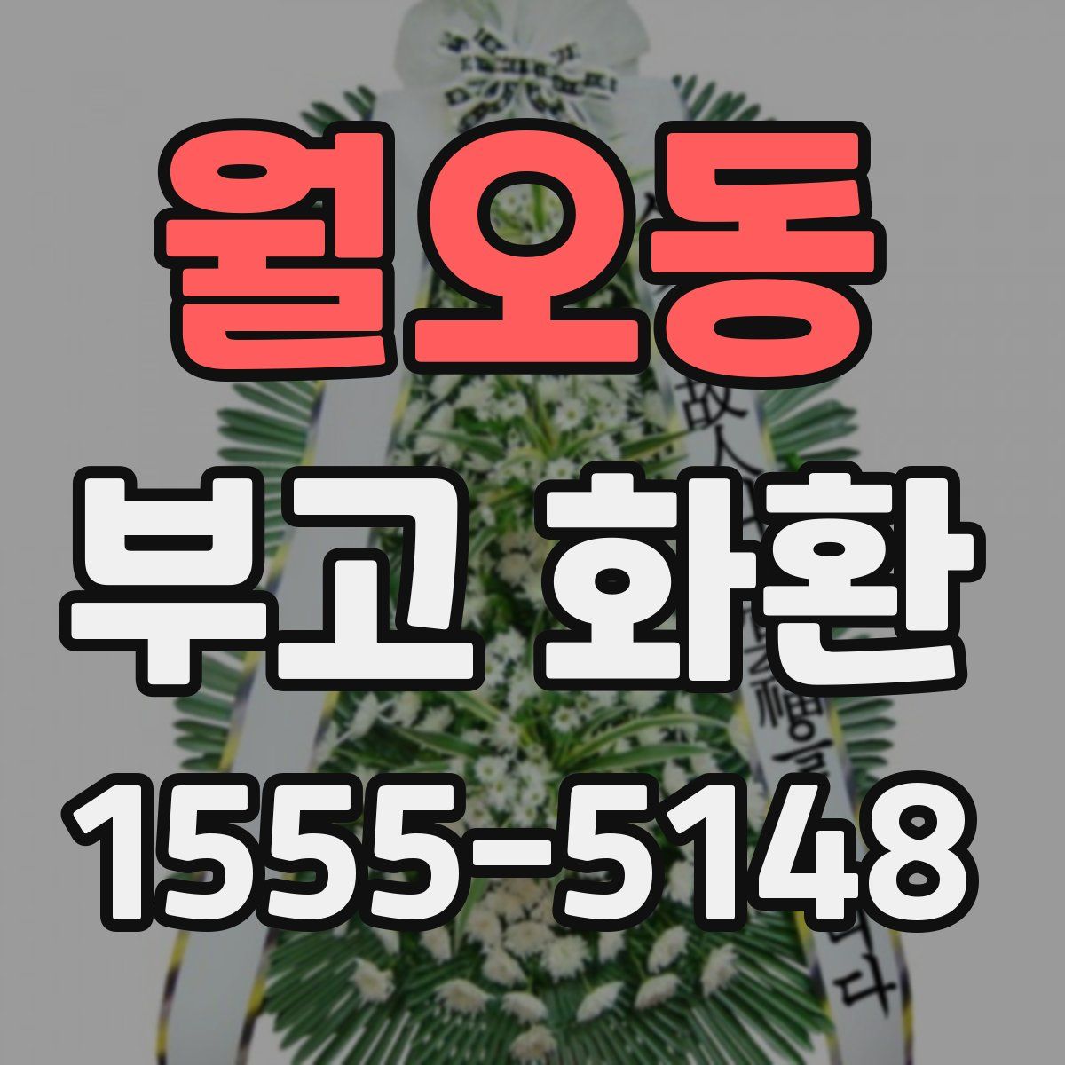 월오동 부고 화환