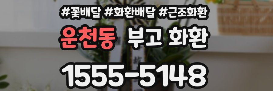 운천동 부고 화환