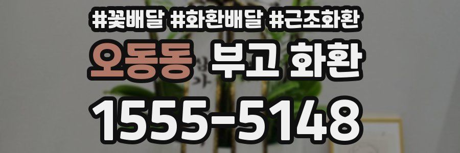 오동동 부고 화환
