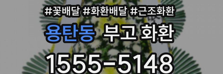 용탄동 부고 화환