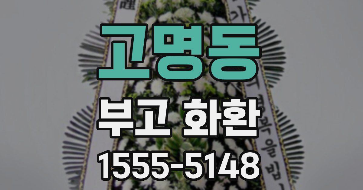 고명동 부고 화환