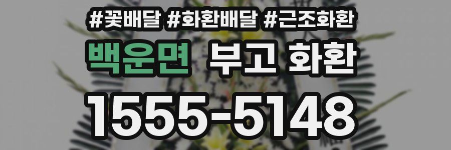 백운면 부고 화환