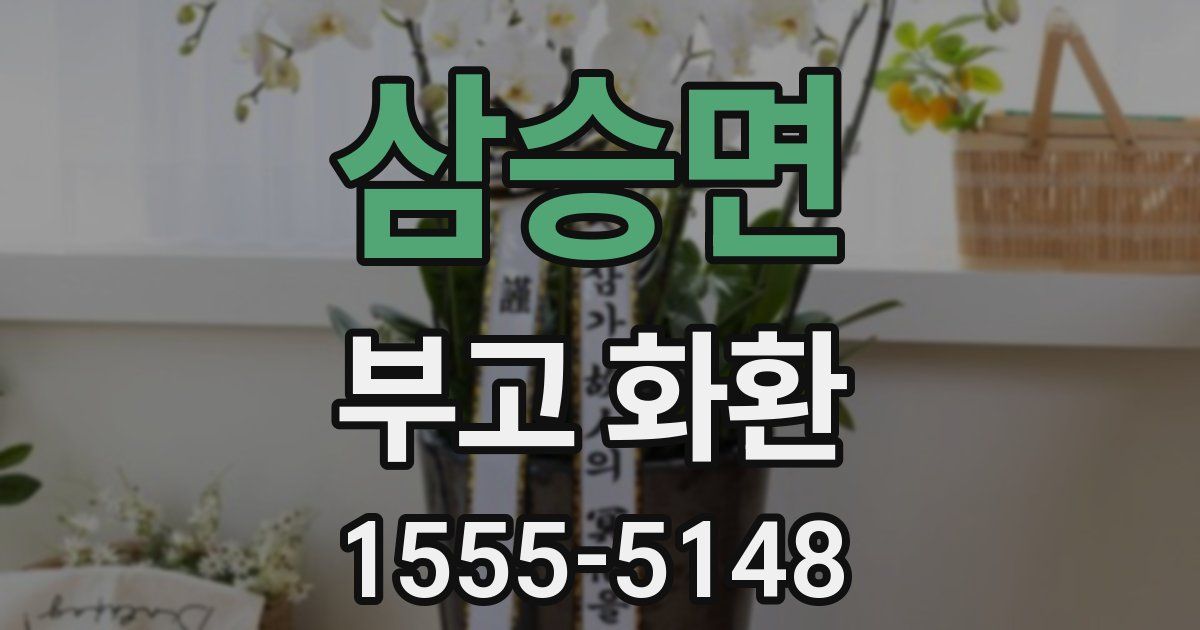 삼승면 부고 화환