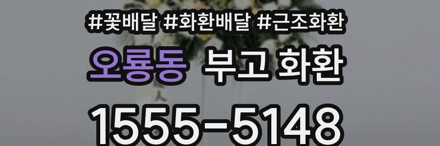 오룡동 부고 화환