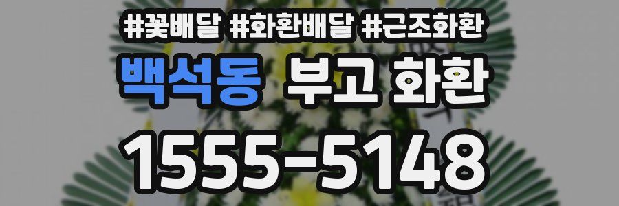 백석동 부고 화환