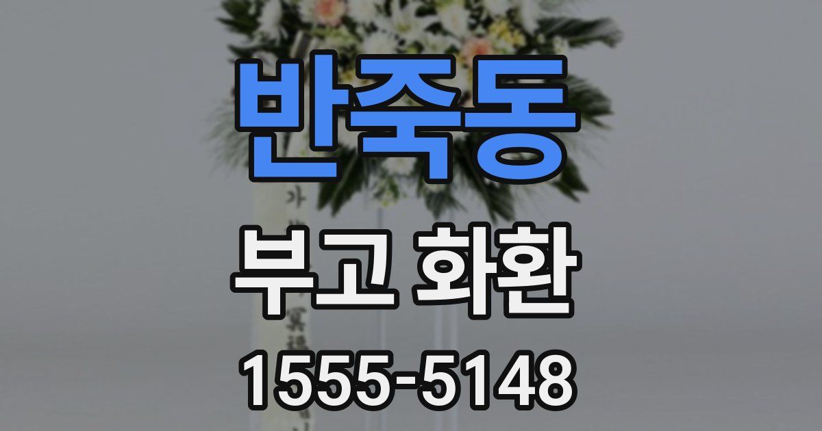 반죽동 부고 화환