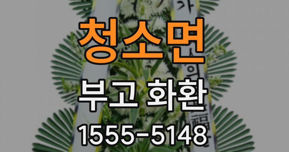 청소면 부고 화환