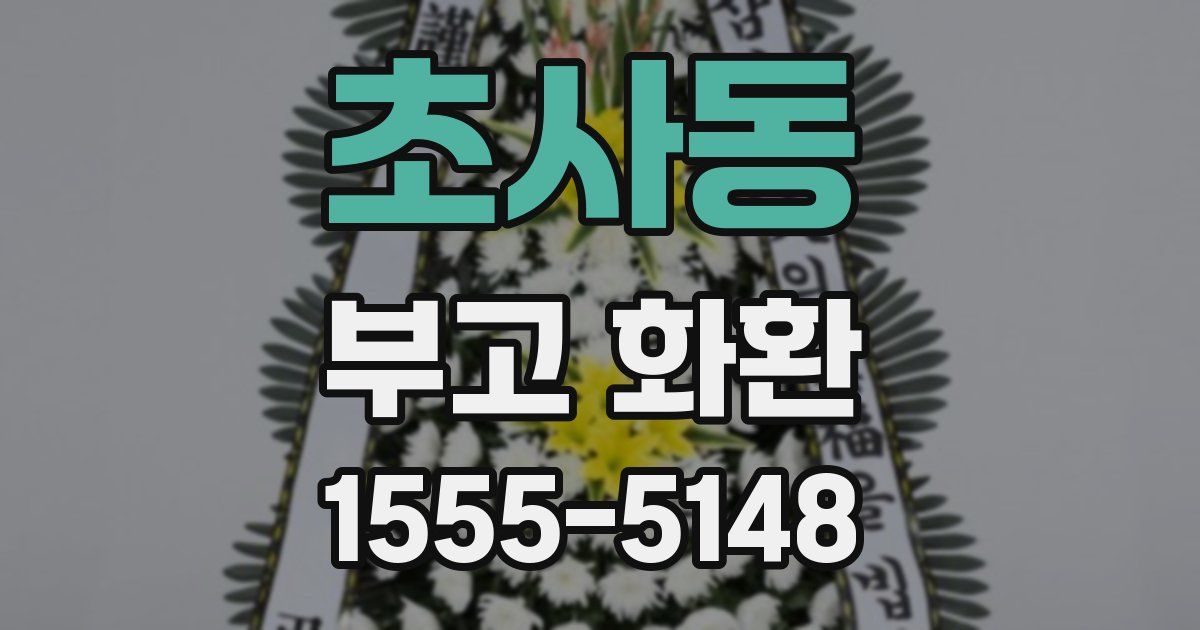 초사동 부고 화환